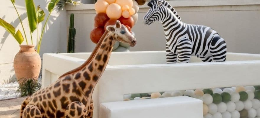 Groovy Party Rentals